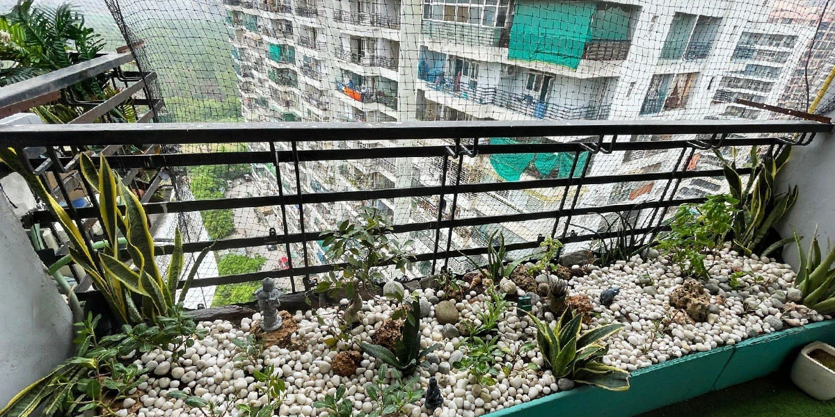 Coconut Tree Safety Nets